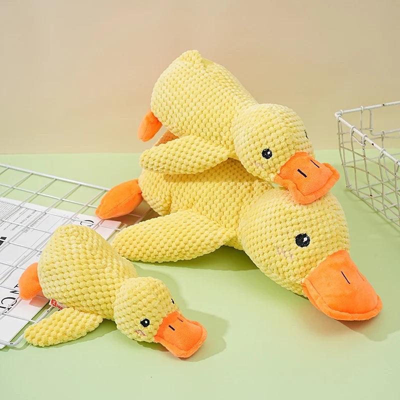 Ducky Chew Buddy