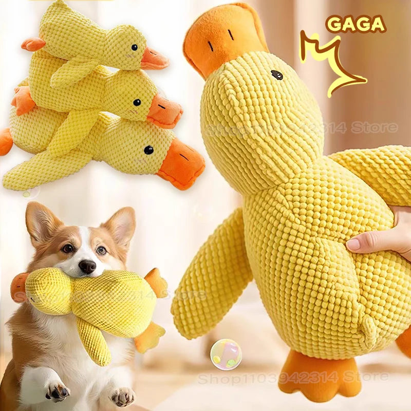 Ducky Chew Buddy