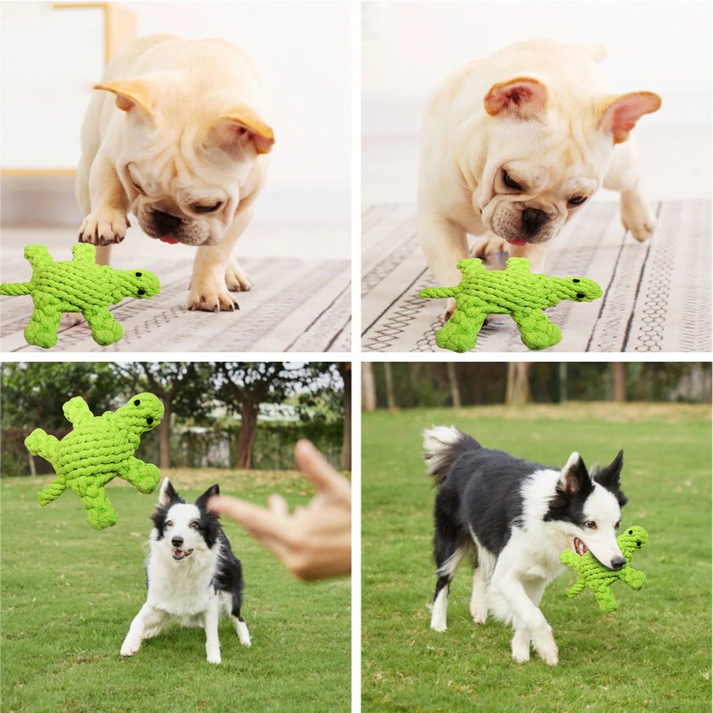 Turtle Rope Chew Toy