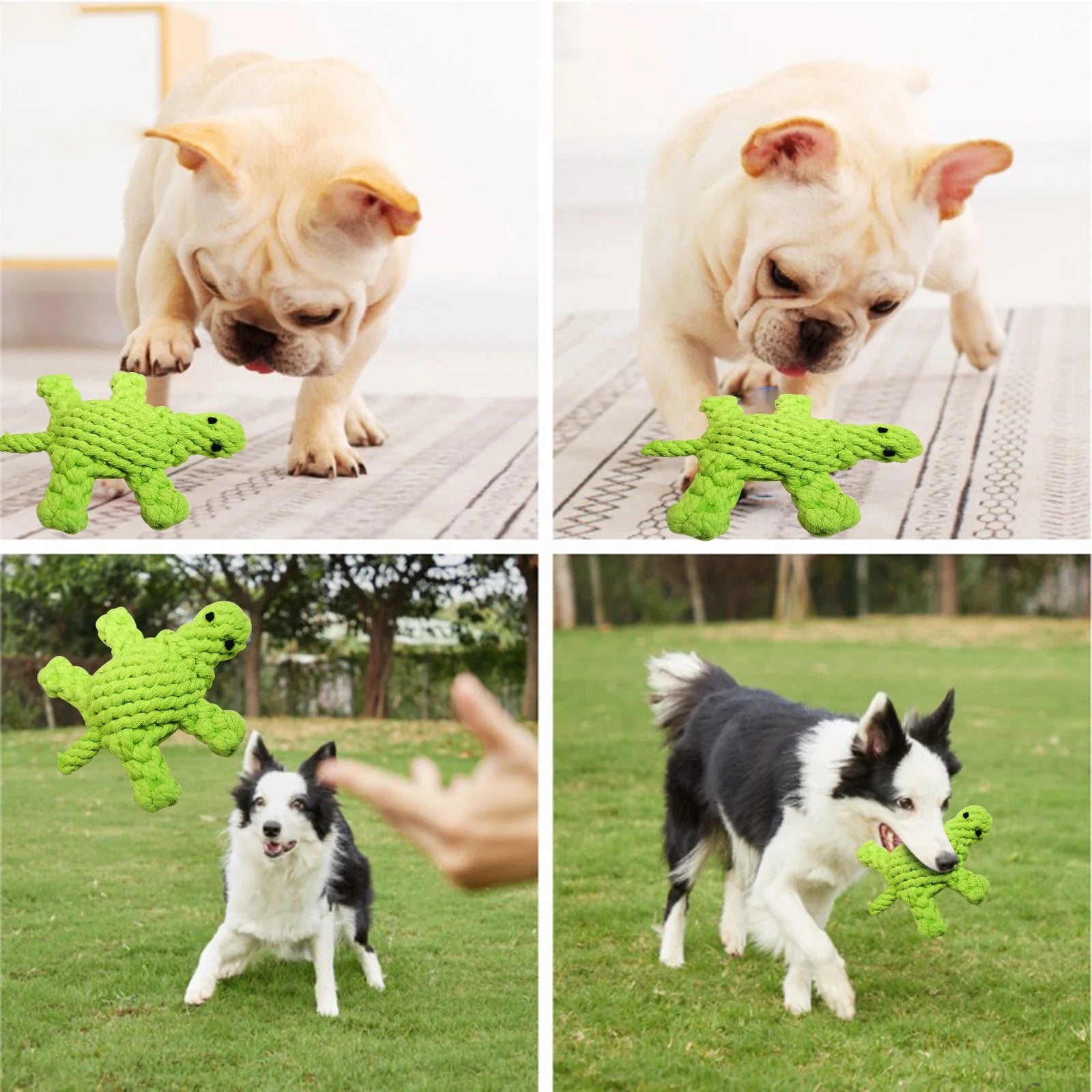 Turtle Rope Chew Toy