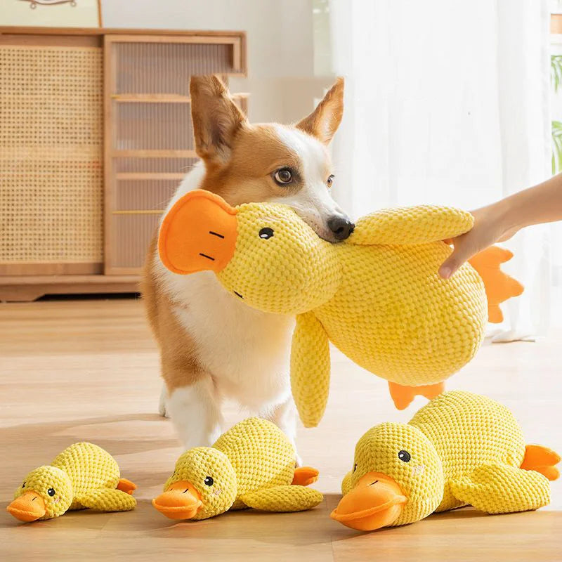 Ducky Chew Buddy
