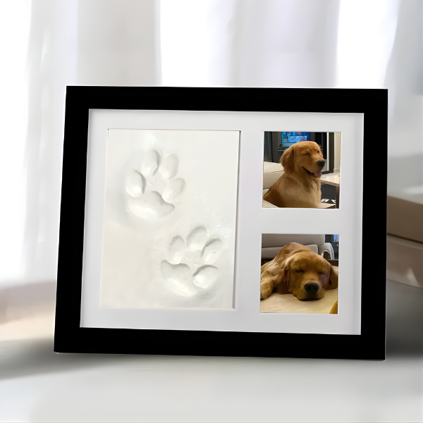 DIY Pawprint Frame