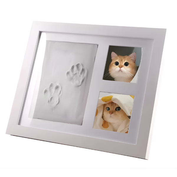 DIY Pawprint Frame