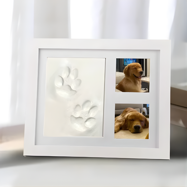 DIY Pawprint Frame