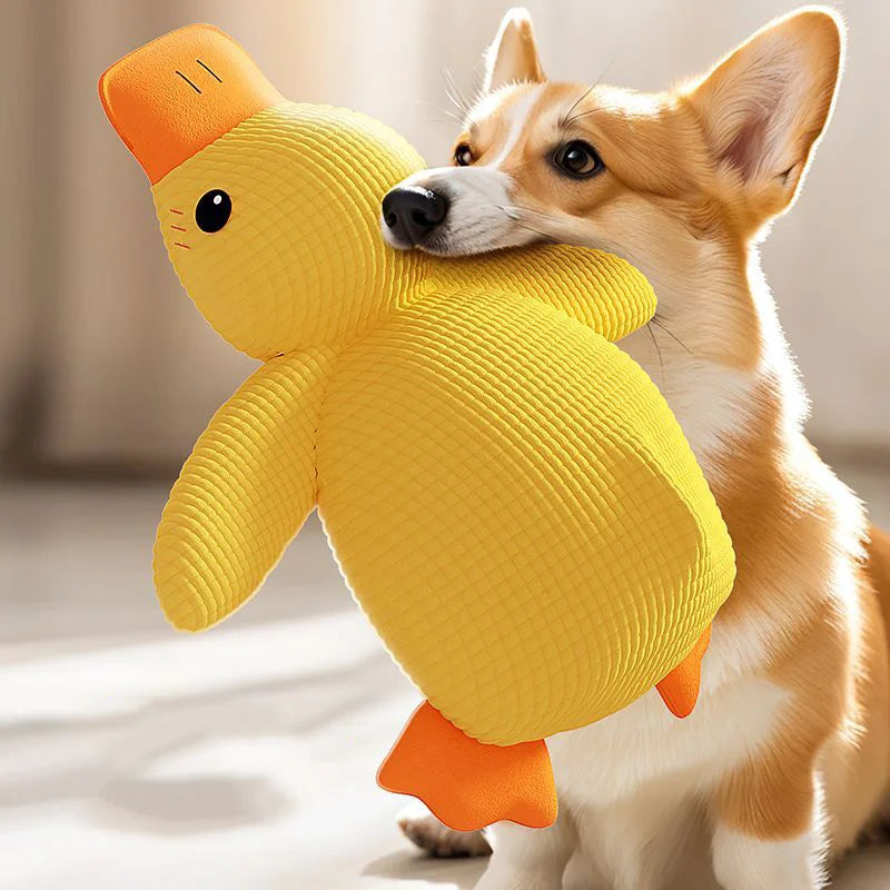 Ducky Chew Buddy