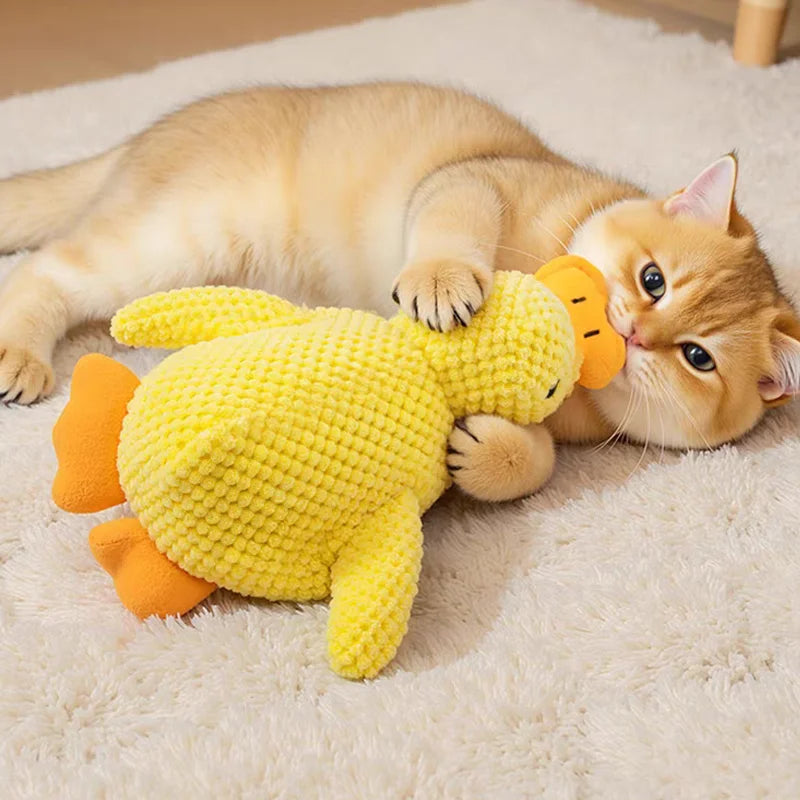 Ducky Chew Buddy