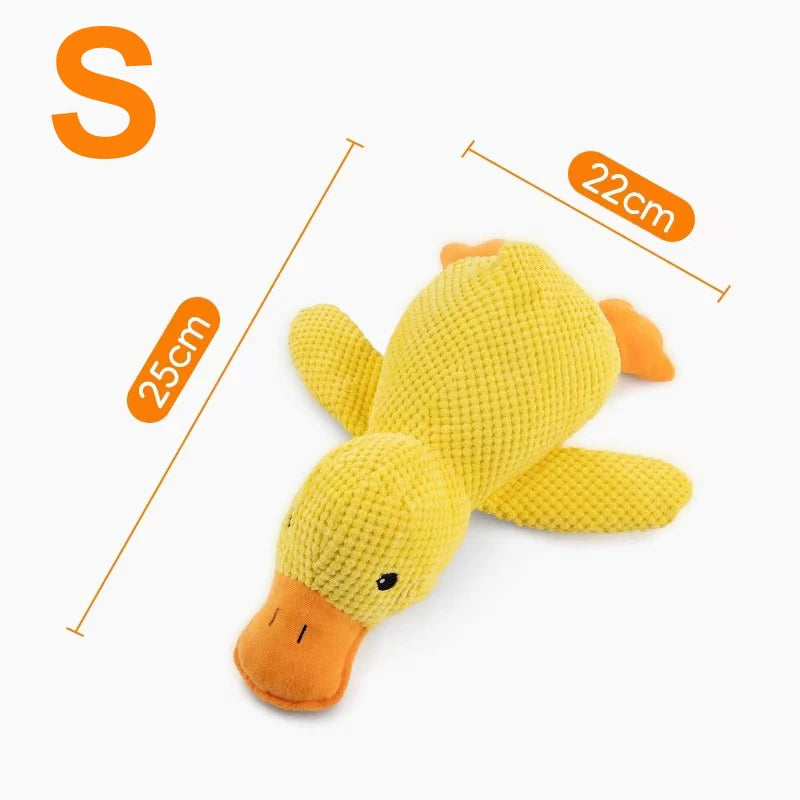 Ducky Chew Buddy