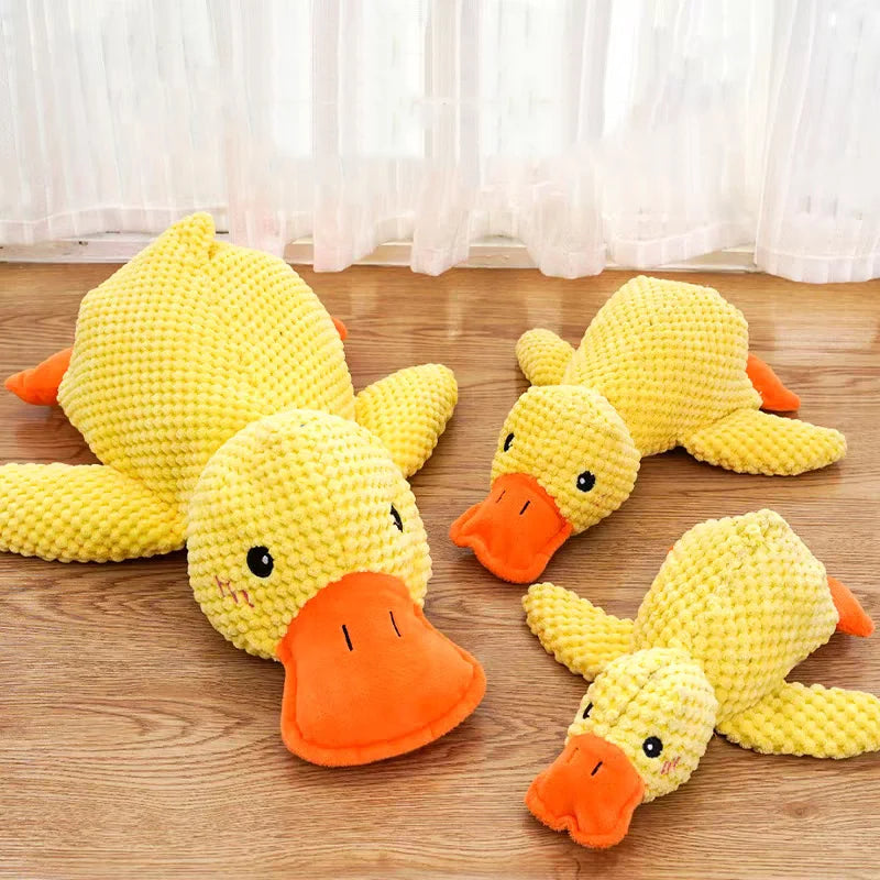 Ducky Chew Buddy